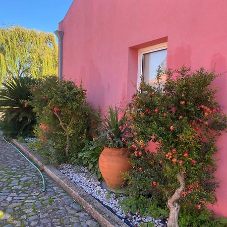 Casa das Jardas Idanha-a-Nova Bagian luar foto