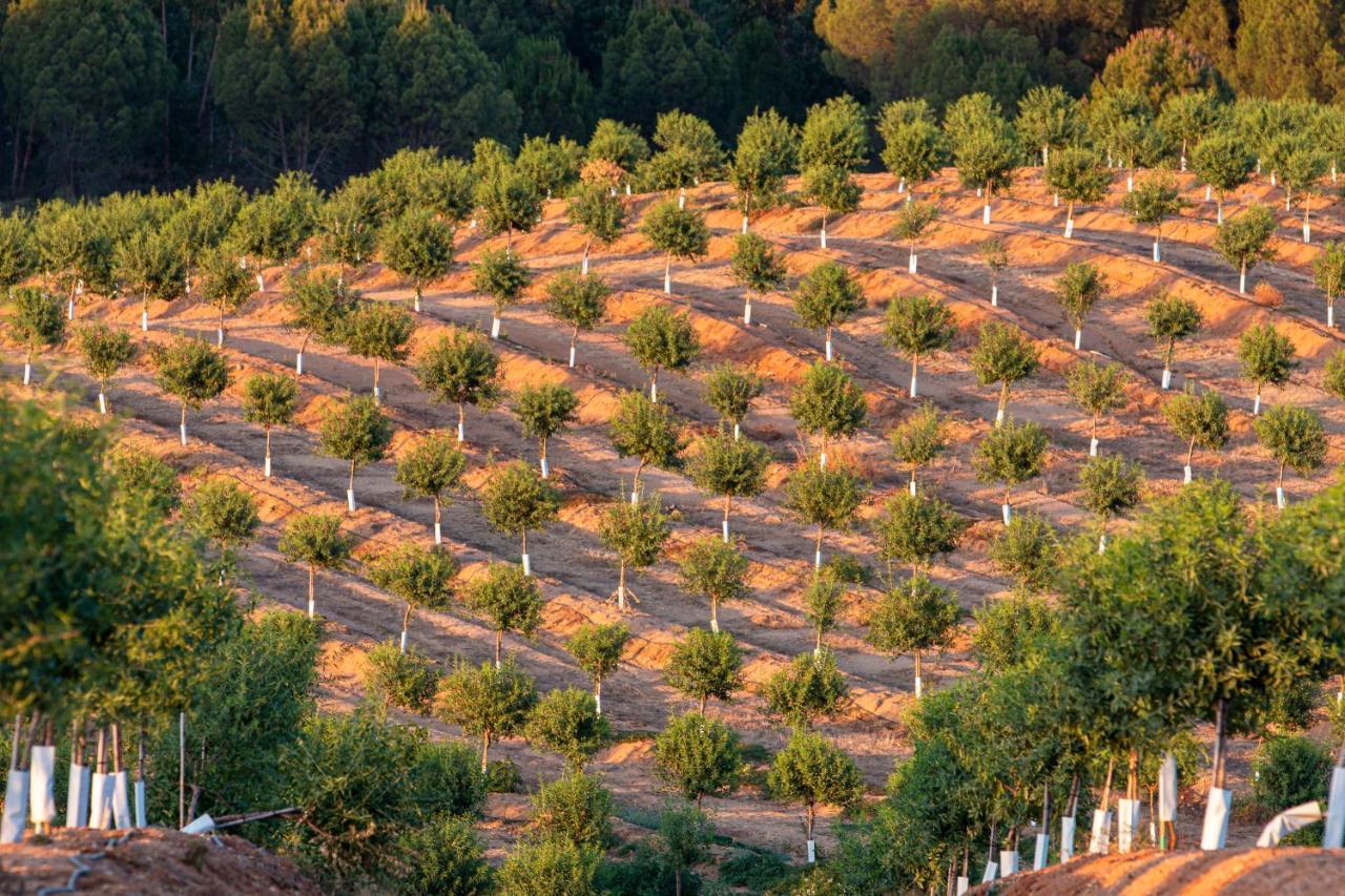 Casa das Jardas Idanha-a-Nova Bagian luar foto