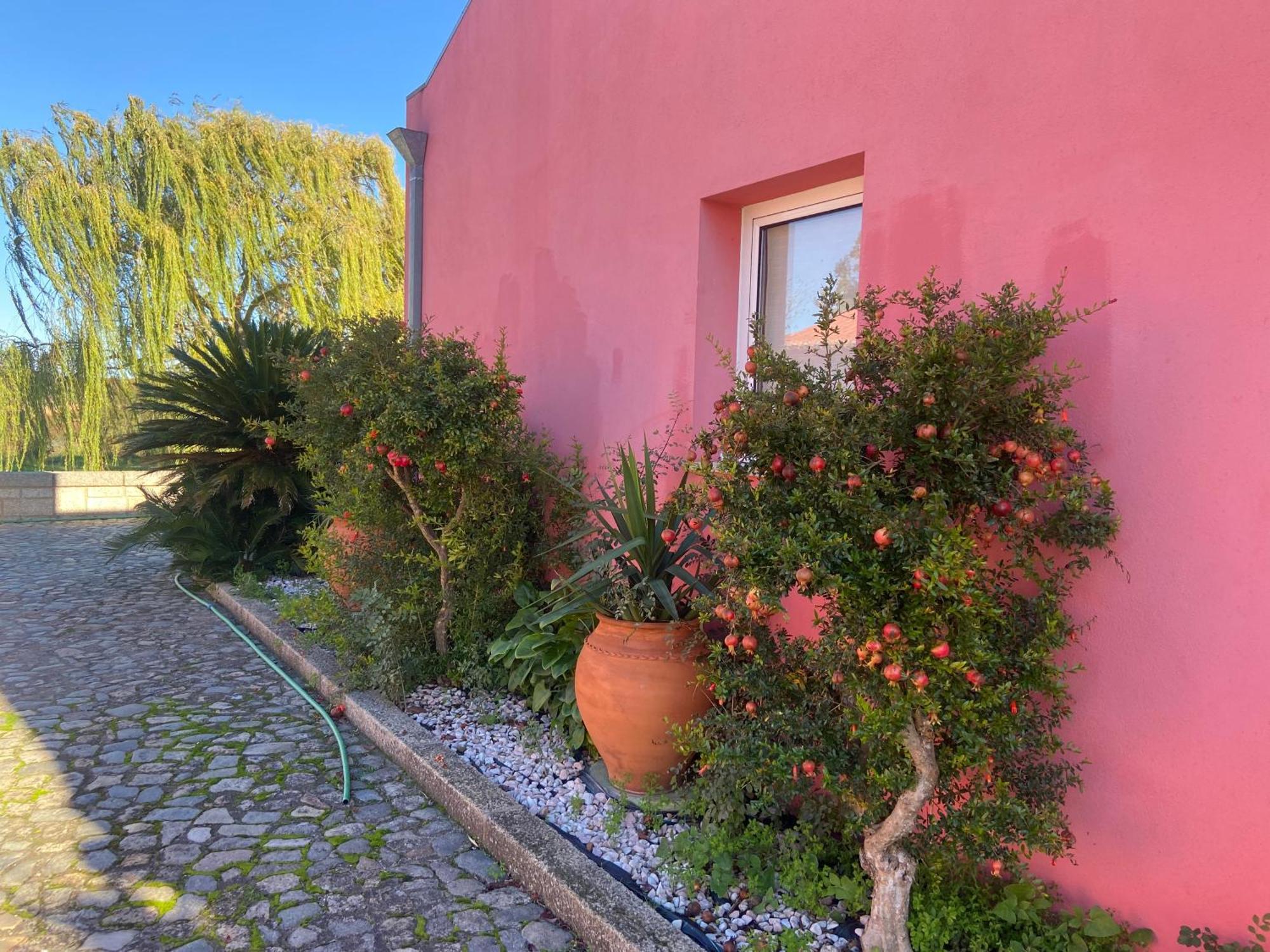Casa das Jardas Idanha-a-Nova Bagian luar foto